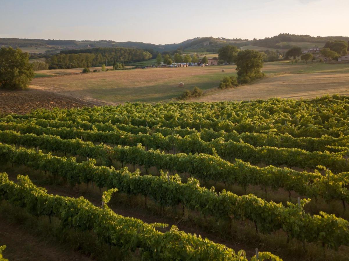 Agriturismo Consalvi Valentina Marsciano Zewnętrze zdjęcie